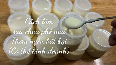 Hướng dẫn cách làm sữa chua phô mai