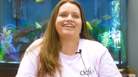 DSP Recognition Week - Part II