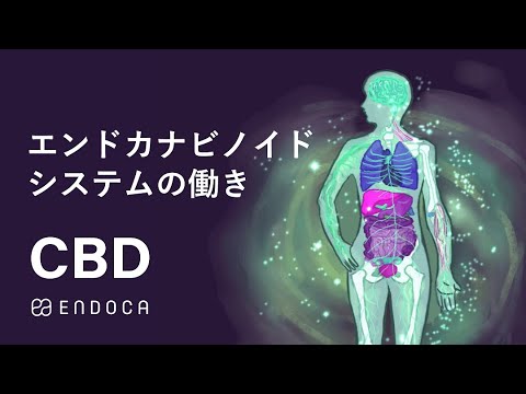 エンドカナビノイド・システムについて学ぼう / ENDOCA / CBD