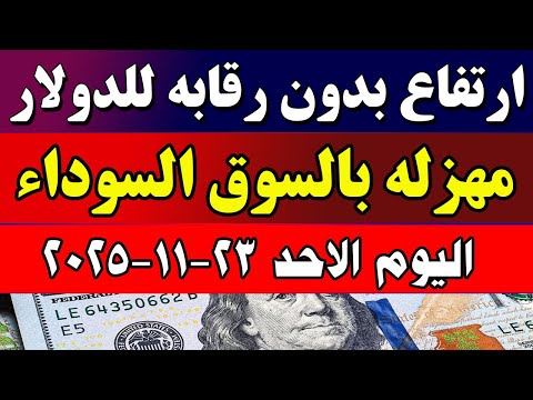 ارتفاع سعر الدولار اليوم في البنوك المصرية الاحد 2025 11 23