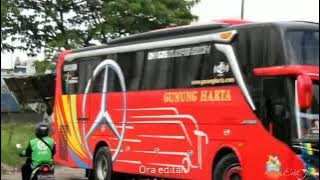 ANGEL | DENNY CAKNAN FEAT CAK PERCIL//STORY WA BUS MALAM COCOK UNTUK STORY WA