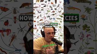 Why Fossils Barely Scratch The Surface Of Earths History Joe Rogan Beth Shapiro