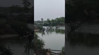 natural environment capture