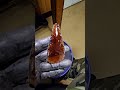 Knapping glass from a microwave kiln