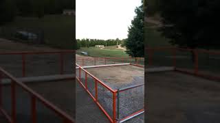 Day 4 Of Mobile Pig Pen Build