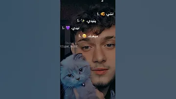 انتي يا ليدي ليدي ليدي ما بعدك نار ممكن متابعة 