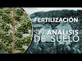 Alternativas Generales de Fertilización para Cafetales en la Etapa de Producción; Tips del Profesor