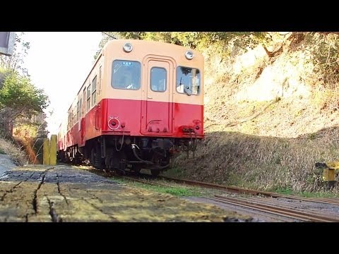 小湊鉄道 石神なの花畑 河津桜 養老渓谷駅 千葉県市原市 14年3月24日 Youtube 小湊鉄道 石神なの花畑 河津桜 養老渓谷駅 千葉県市原市 14年3月24日 Youtube
