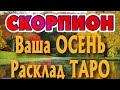 СКОРПИОН ♏ Ваша ОСЕНЬ сентябрь октябрь ноябрь РАСКЛАД ТАРО гадание онлайн