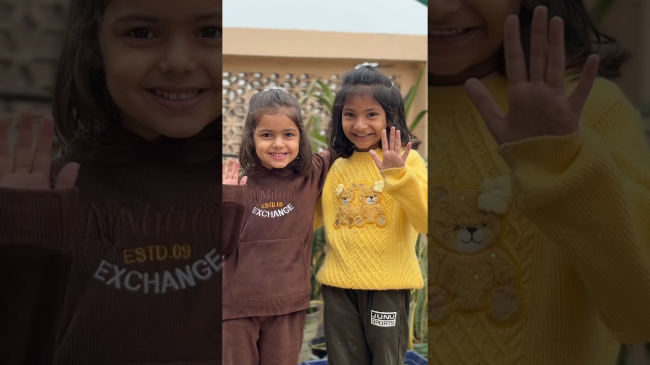 Plant Stand Shopping #youtube #meesho #plants #youtube #shorts