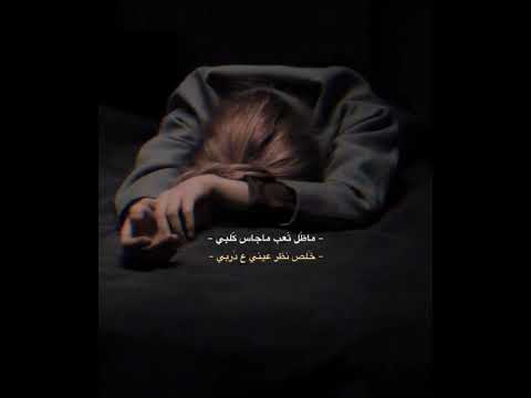 ماضل تعب ماجاس كلبي محمد الحلفي
