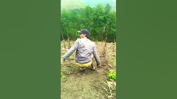 Mới tập làm video nên mong mọi người ủng hộ em với ạ. Đang ký kênh để được xem nhiều video hay hơn ạ