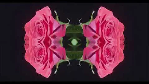 Accend - Need You Here (feat. Alyssa Riley) Offici...