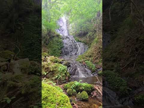 1分の滝（千檀の滝） 2025.05