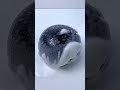 #funny