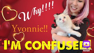 Somi’s confused | Yvonnie’s Cat