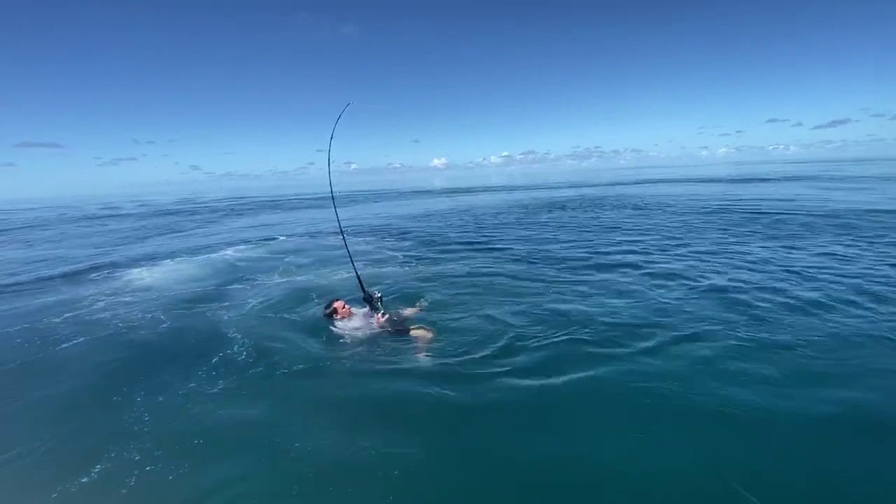 dive after fishing pole H2 Carbon Fiber Travel Spear Lost Winds Shop SCUBA DIVING FOR THE 400