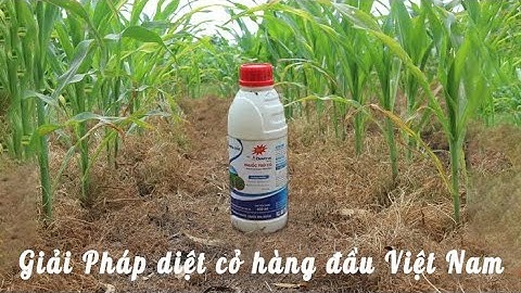 LOGICHU 55SC - Thuốc trừ cỏ ngô, mía, quế hàng đầu hiện nay | Nông nghiệp ADI