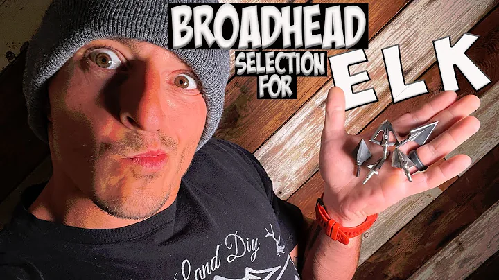 ALL Broadhead TUNING Questions Answered + Dan's 2022 FINAL ARROW SELECTION