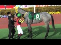 2011/03/05 阪神11Rチューリップ賞 パドック 1着レーヴディソール part3