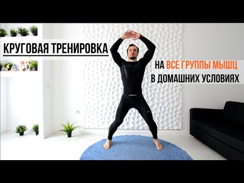 Круговые тренировки для сжигания жира в домашних условиях