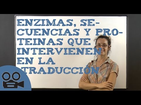 Vídeo: Quins enzims intervenen en la respiració?