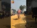#jallikattu #jallikattu2024 #trend #trendingshorts
