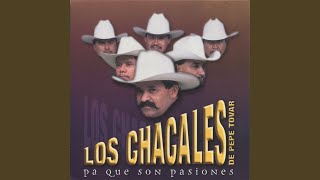 Video thumbnail of "Los Chacales - Frio de Ausencia"