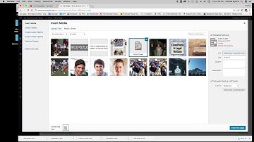 SCN Wordpress Training Video 3