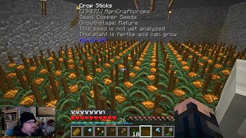 FTB Regrowth 1.0 Prerelease Playtesting Part 17 Wands and Bags