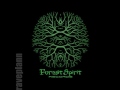 Dark forest Deidriim Forest Spirit Records Mix Vol  1