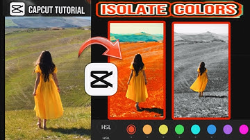 How to Make Color Splash Effect | CapCut Tutorial | Android or iPhone