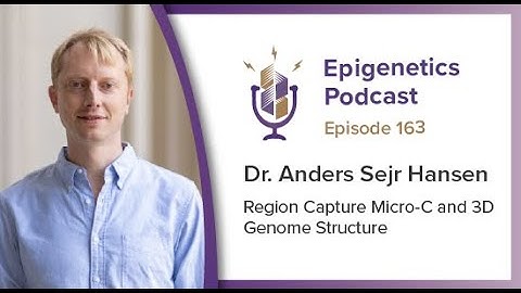 Epigenetics Podcast #163 - Region Capture Micro-C and 3D Genome Structure with Anders Hansen