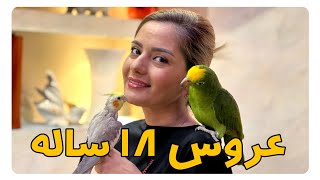 نگهداری از عروس هلندی 18 ساله | مصاحبه اختصاصی قسمت 1