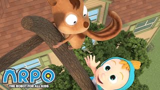 Baby Daniel vs a SQUIRREL! - Arpo the Robot |  Funny Cartoons for Kids | Kids Series | Animation