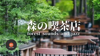 Ambient sounds + JAZZ Gentle forest coffee shop Relaxing work/study CAFE MUSIC - BGM for work