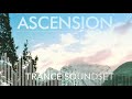 Ascension Trance Soundset for Access Virus TI - Uplifting/Hard/Progressive/Tech Trance Patches 2020