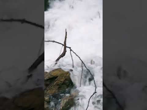 ما معنى المخضرم في علم الحديث