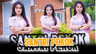 DJ SANTRI PEKOK - Genduk Denok Santri Lulusan Pondok - KELUD TEAM OFFICIAL REMIX
