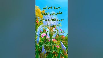 فضل القرآن الكريم 🕋حالات واتساب دينية 🕌دعاء مستجاب 🤲صباح الخير 🌺أذكار المساء ❤أدعية أحاديث شعر أمثال