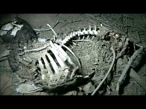 برومو رواية سارق الموتى واللعنات السبع للكاتب مجدي يونس