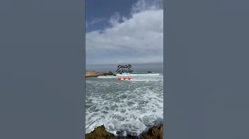 مالي بحر يرسيني 