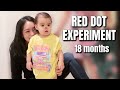 The Red Dot Experiment at 18 months - @itsJudysLife