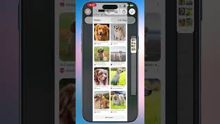 Screenshots 10ක් එපා! iPhone Full Webpage Screenshot Trick 📱✨