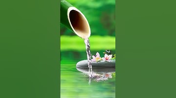 Thumbnail of Deep Sleep Music, Calming Music, Insomnia, Sleep, Relaxing Music, Study, Sleep Meditation, healing