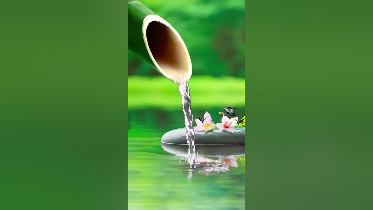 Deep Sleep Music, Calming Music, Insomnia, Sleep, Relaxing Music, Study, Sleep Meditation, healing