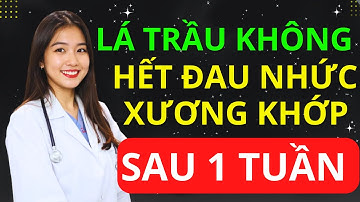 3 Cách Dùng Lá Trầu Không Giảm Đau Xương Khớp Tại Nhà  | BS Minh Hạnh