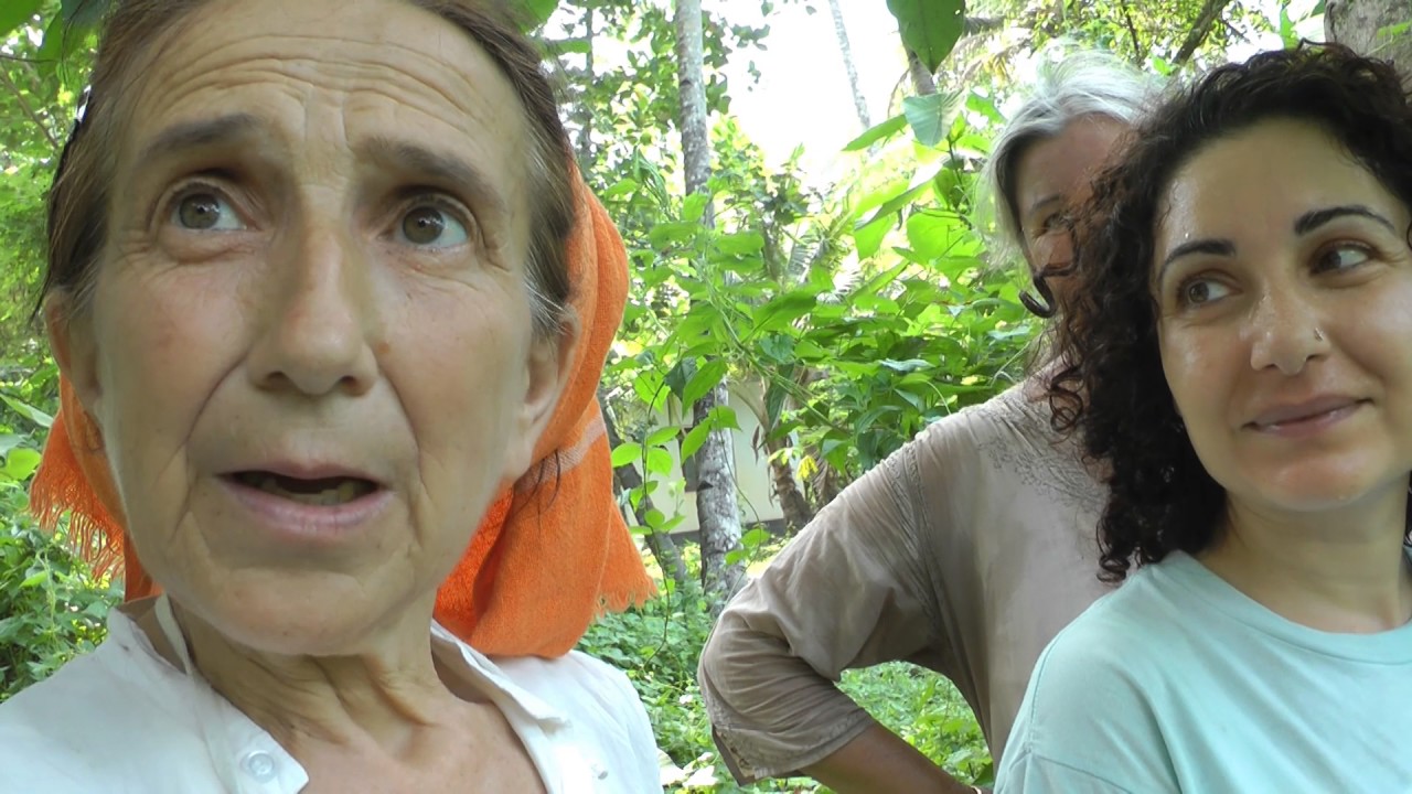 beekeeping gloves Honey Bees have finally Arrived in the Coconut Log Beehive!