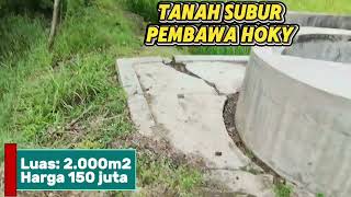 Tanah Super,subur bisa sumur dan datar harga bersahabat
