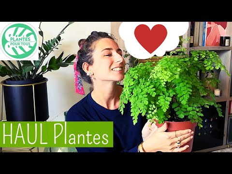 Vidéo: Culturer des plantes sur une colline : les meilleures plantes pour les pentes et les berges